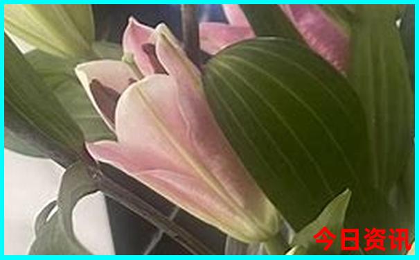 贵阳周边一日游必去景点